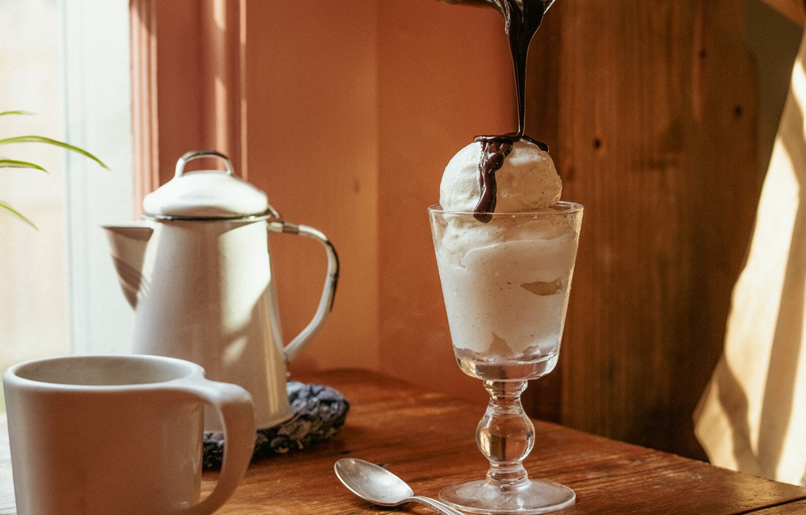 Cold Brew Coffee Ice Cream with Hot Chocolate Sauce